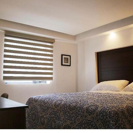 Suites C3 Coyoacan 멕시코 시 외부 사진